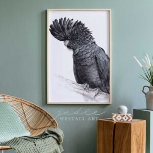 Black cockatoo framed print