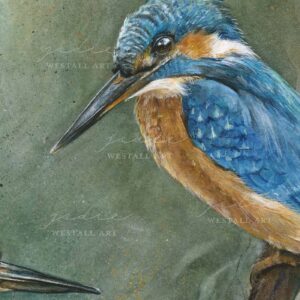 kingfisher painting close up