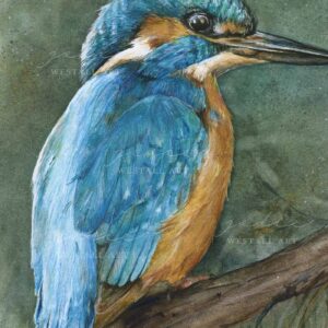 kingfisher painting close up