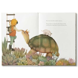 children's book Why Not - boy patting Turtle