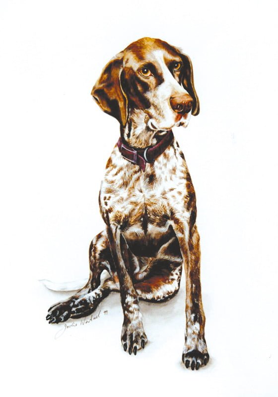 Doggy - Jodie West All Art