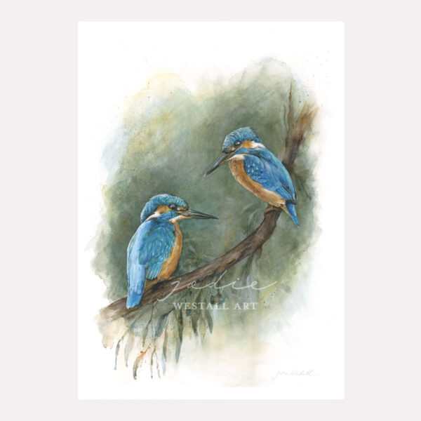 Kingfishers print Jodie Westall art