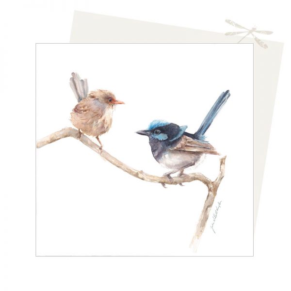 Blue Wrens