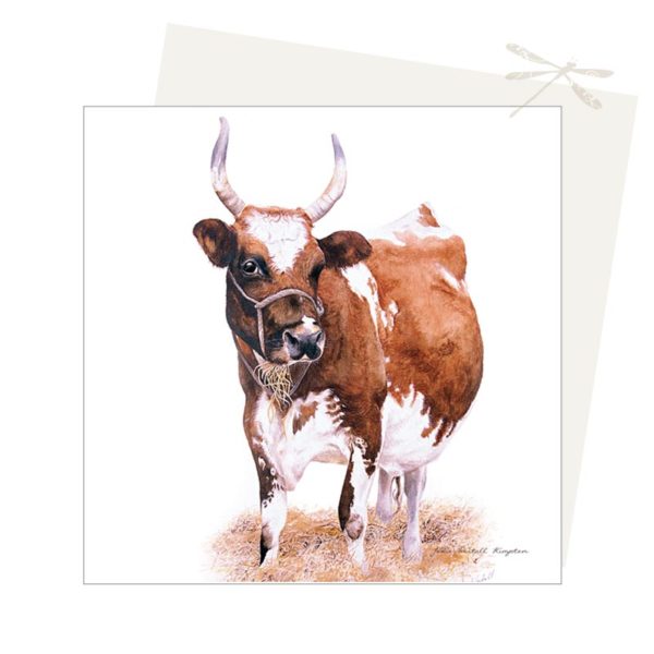 Cow card