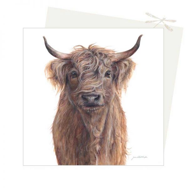 Scottish cow Card