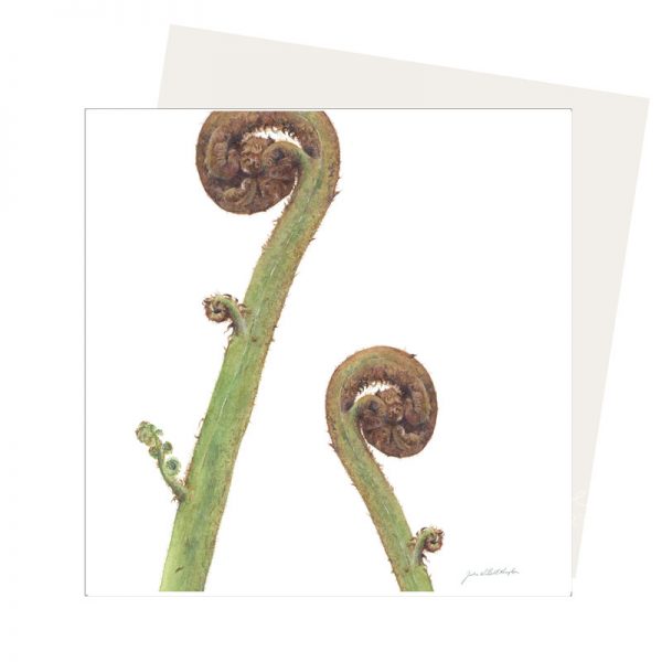 fern greeting card Unfolding