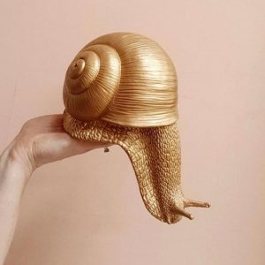 gold snail