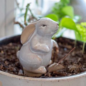 Rabbit Garden Watering Spike