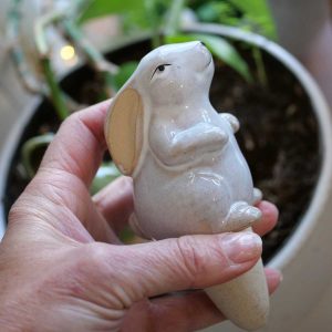 Rabbit Garden Watering Spike