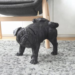 dug peeing pug