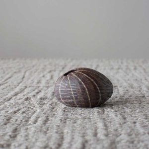 pebble vase sepia