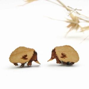 echidna studs