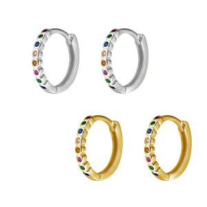 rainbow huggie earring