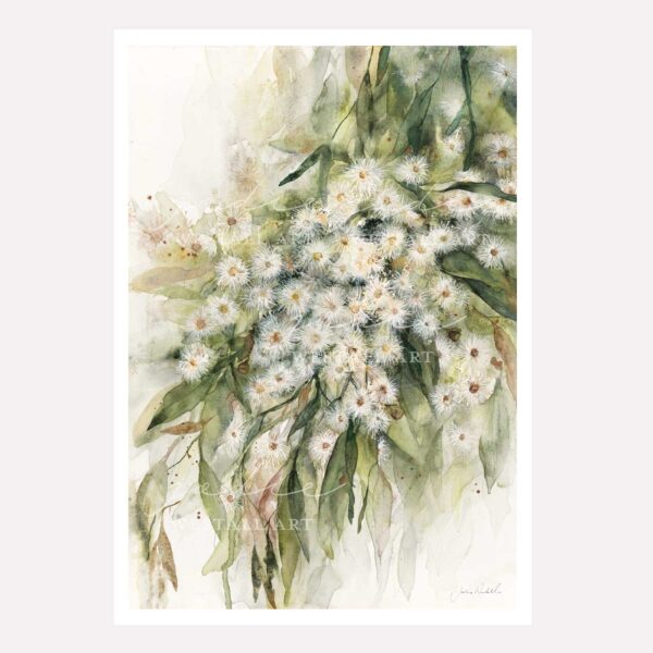 Flowering Gum Print