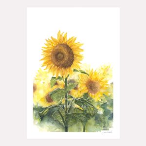 Sunflower print